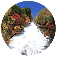  Tochigi Prefecture, Japan