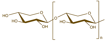 Xylo-Oligosaccharides (XOS)