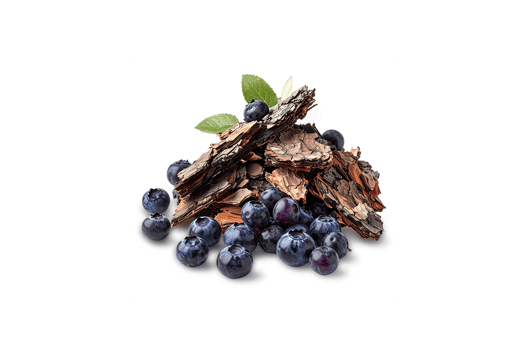 Pycnogenol and Mirtoselect