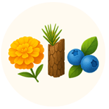 Synergistic Tag-Team