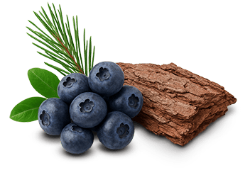 DHA and bilberry extracts