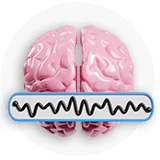 Protects Brain & Cognitive Health